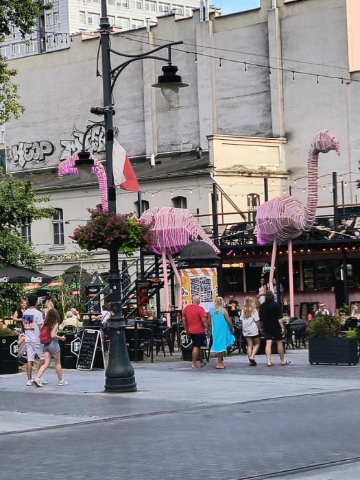 Kindermann Residence