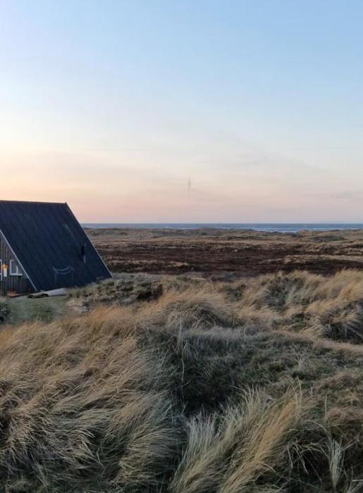 Beach House Surrounded By Wild Nature