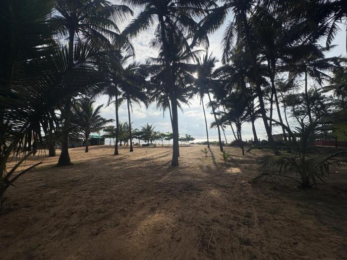 Coco beach front stay