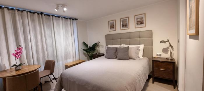 Moderno estudio en Santiago cerca del Metro