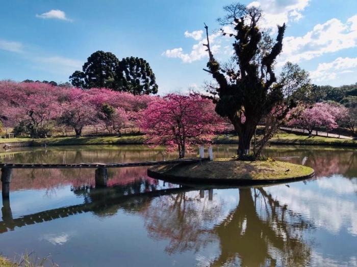 Natureza, paz no sítio