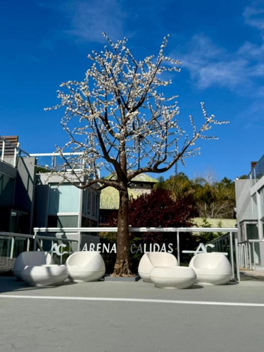 Arenas Calidas Carilo