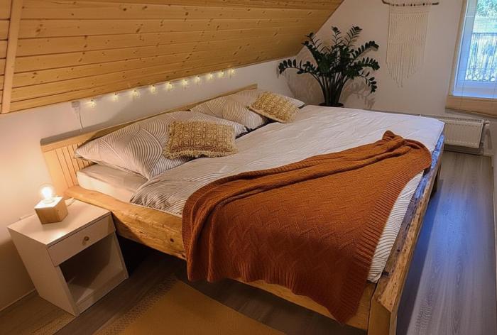 Apartmán u Ještěrky s finskou saunou v ceně