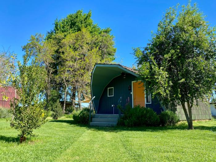 Anita y Tomás - COLCHAGUA - Santa Cruz - Ruta del Vino