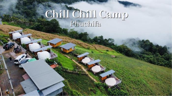 ชิวชิวแคมป์ ภูชี้ฟ้า