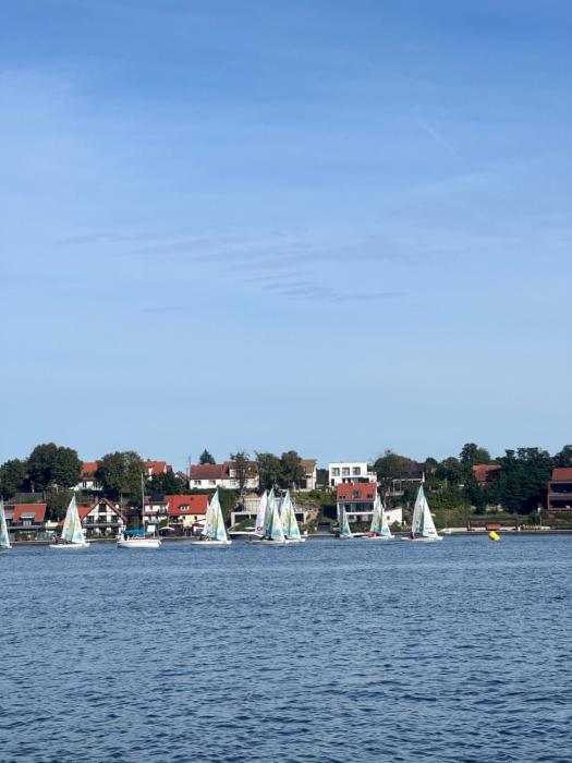 Forest & Lake Mikołajki