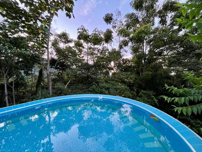 Jardín Secreto
