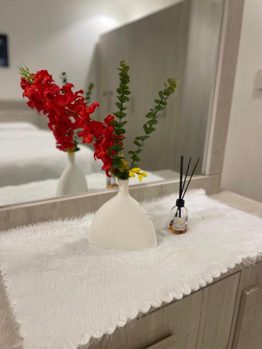 شقة غرفتين دافئة مفروشة للايجار 22