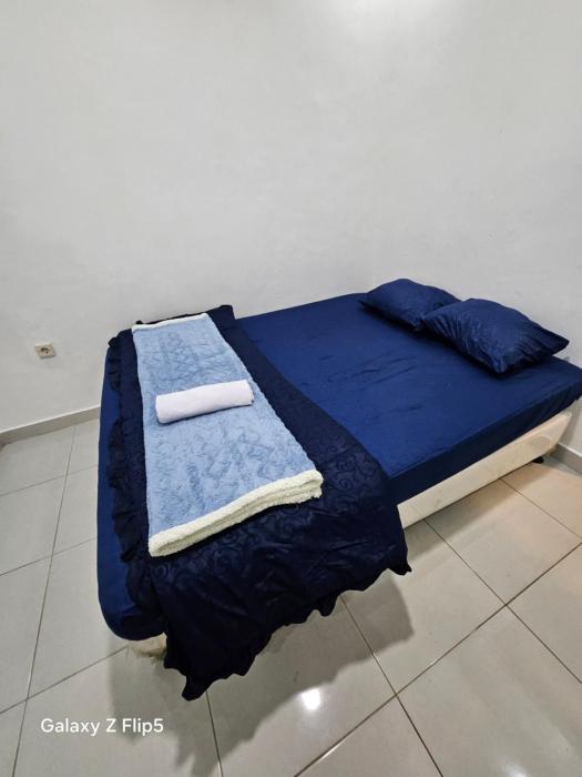 Erigeron homestay dieng