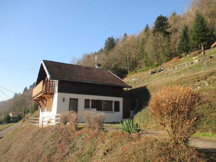 Chalet familial dans le Parc des Vosges, wifi et animaux acceptés - FR-1-589-840