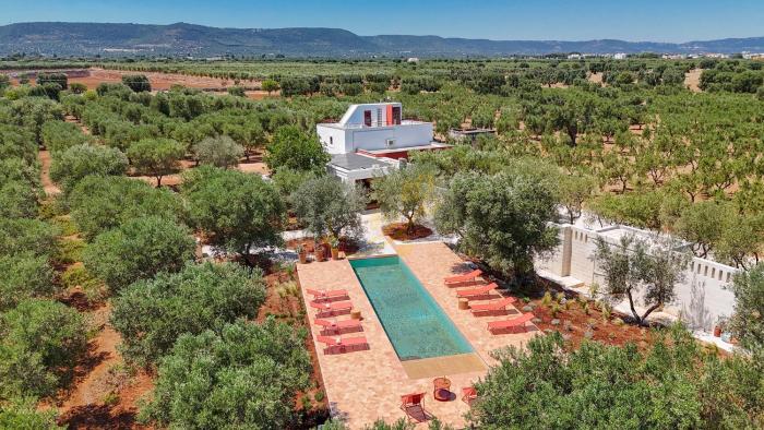 TD Lamia Porta Rossa, Countryside with Olive Trees