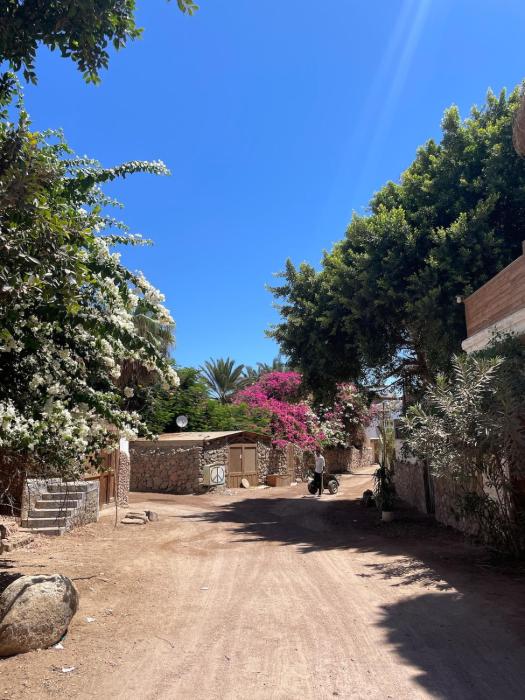 Frida in Assala a seaside home with terrace