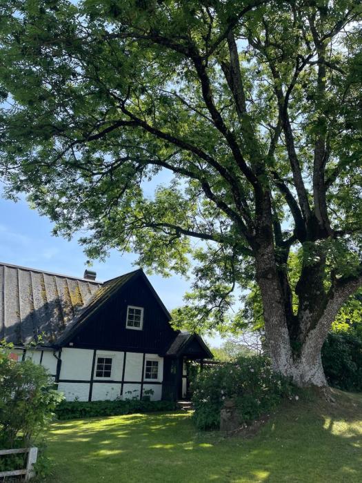 Gunillas house in Huaröd