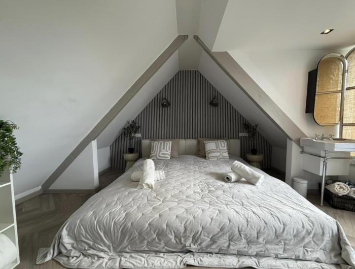 Cozy Penthouse Duplex with Private Rooftop Terrace near Vondelpark