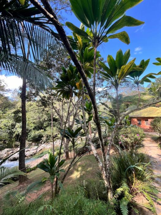 Diferencia eco retreat