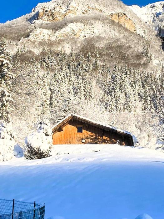 Petit chalet en bois avec mezzanine en montagne