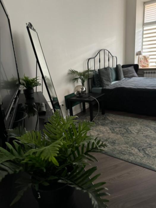 City center apartment