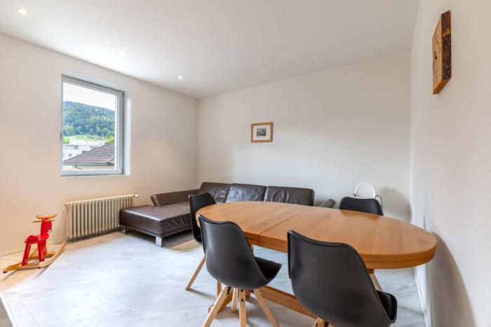 Mount Pilatus view Apartment Lucerne with free parking & WIFI