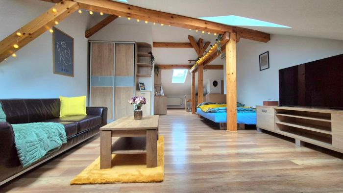 The Timonova Loft, Košice - Old Town