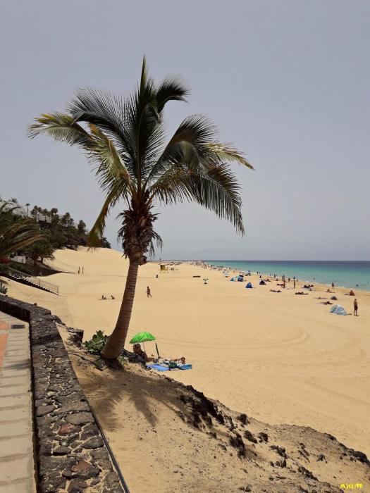 Jandia Arena Habitación