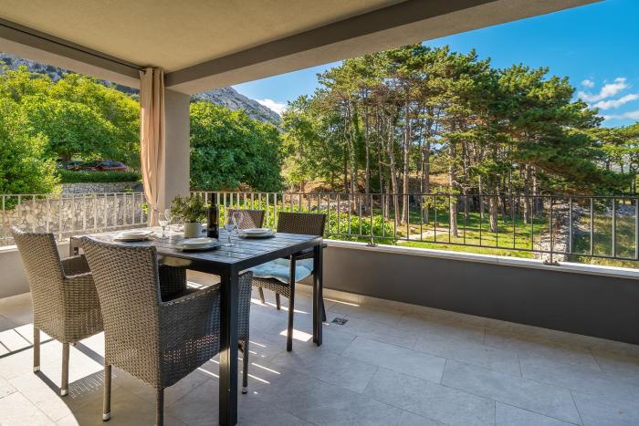 Deluxe Apartments Kovac with Terrace