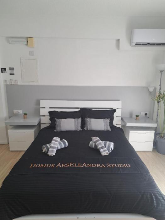 Domus ArsEleAndra Studio-162