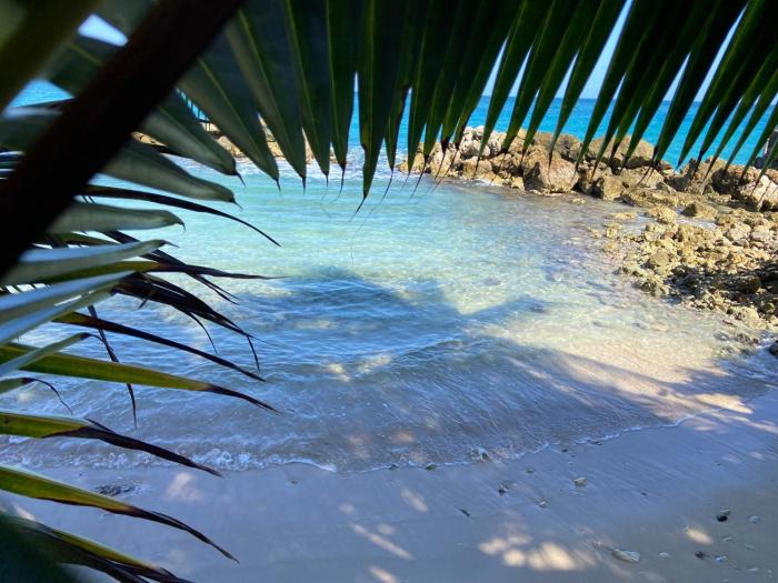 Beachfront home near Dunns River Falls