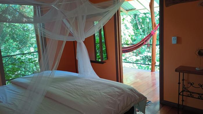 Jungle Hill Top House