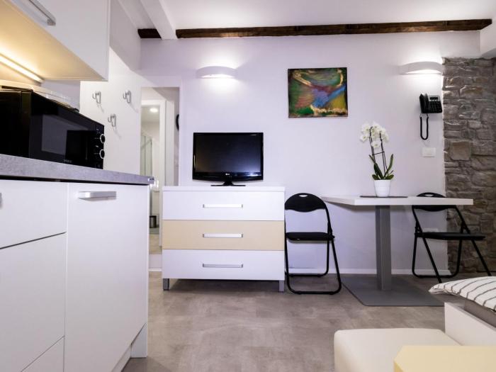 Piran Downtown Chic and Cozy Apartments - Classic One Bedroom Apartment