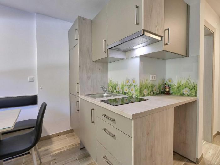 Cozy and Chic Apartment in Kranjska Gora - Studio Apartment