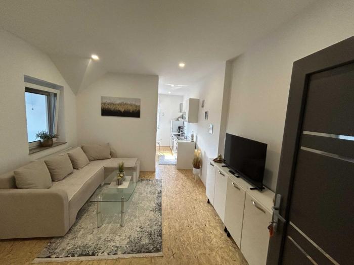 City Modern and Vibrant Apartments Ljubljana - Standard One Bedroom Apartment