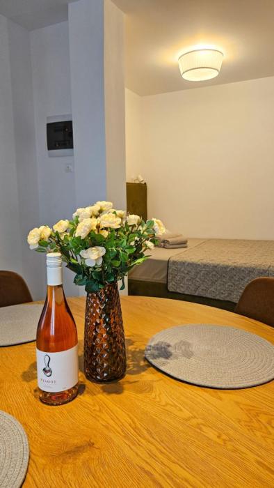 Sunshore Center apartment #2