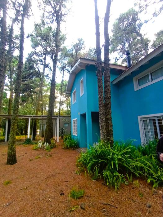 Casa Noviembre en el bosque