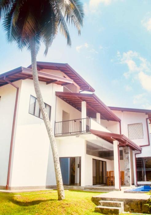 The Coconut tree villa