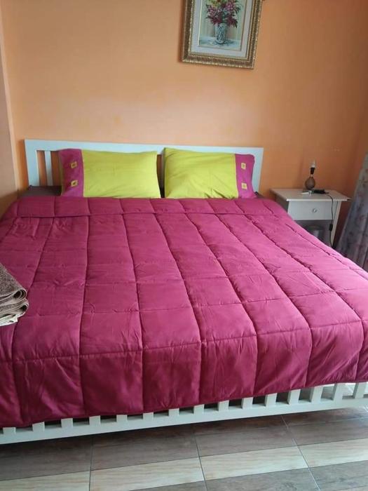 Concordia Guesthouse