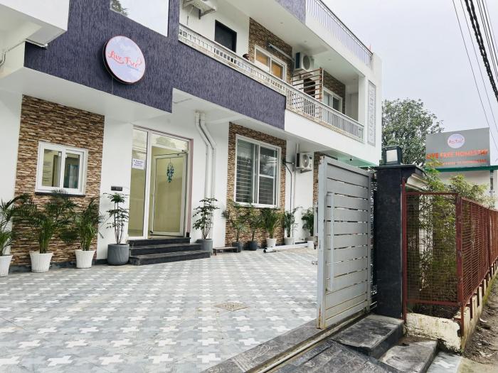 Live Free Hostel Dehradun