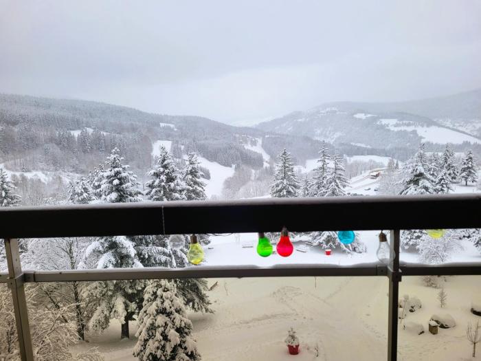 STUDIO plein sud "Les Arolles" Balcon de VILLARD DE LANS