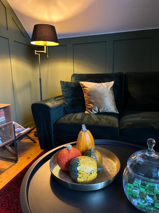 Carpathian Loft with Private Parking