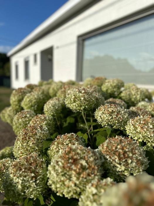 Guesthouse Eekhoorn 16