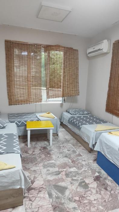 Стая лидер хаус