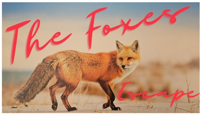 The Foxes Escape