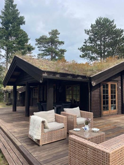 Norwegian Log Cabin Among Heather And Pine Trees