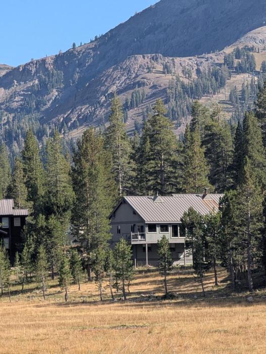 Kirkwood On Meadow 3br 1 ba