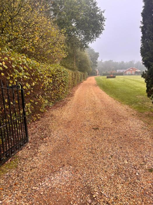 Pet Friendly Dorset Getaway Hot Tub and Alpacas Relaxing UK Short Break