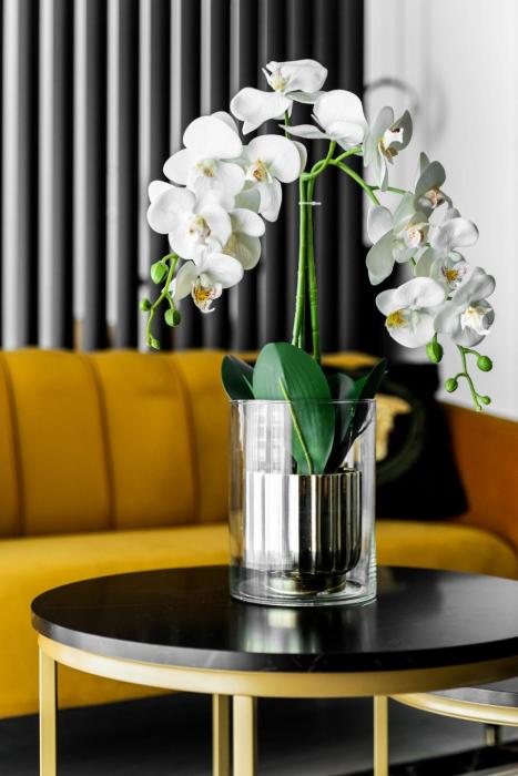 Nad Odra Gold Apartment