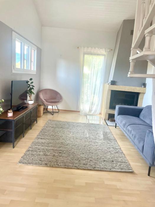 Comfortable apartment a stones throw from Nyon