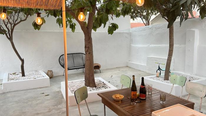 Lemon and avocado house