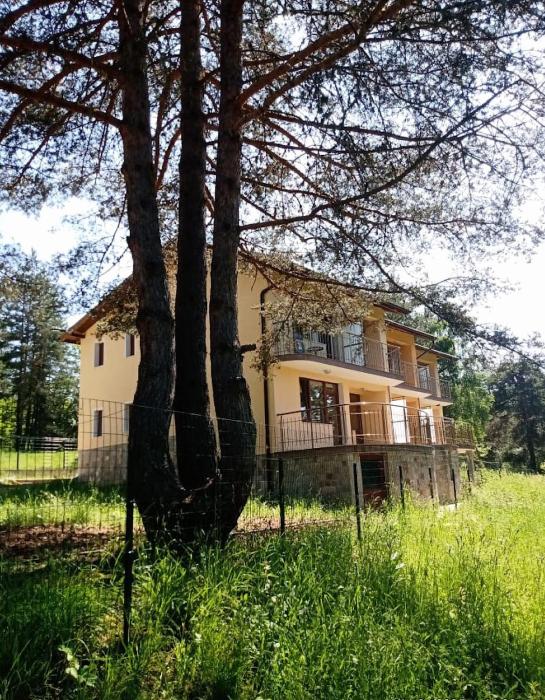 Margarita Mountain Apartments