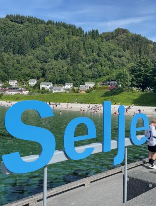 Seljesanden Apartment