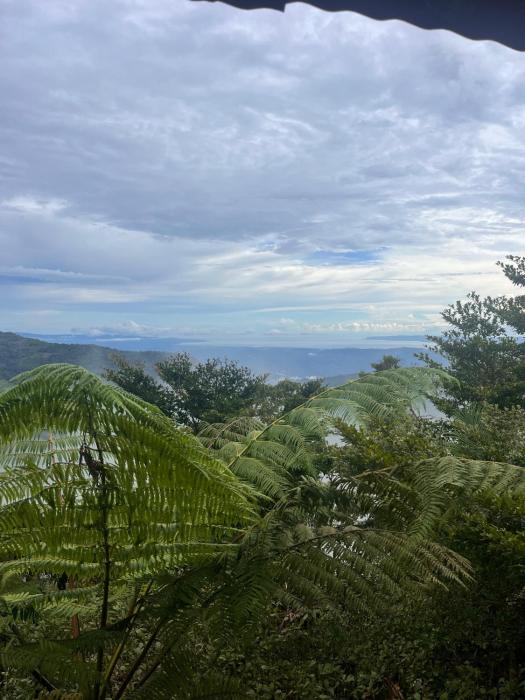 Cabaña las Bromelia